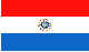 flag of paraguay